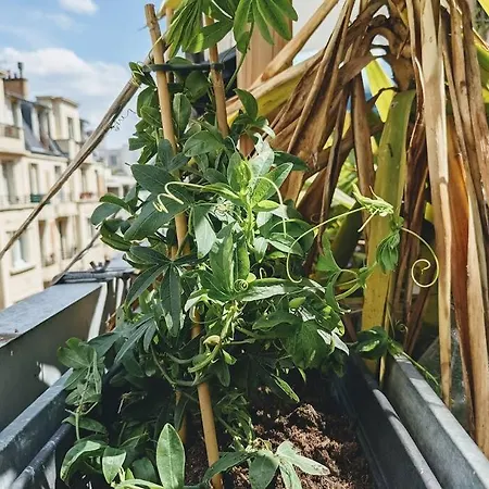 Apartman La Colonie // Cosy - Terrasse - Butte Aux Cailles *