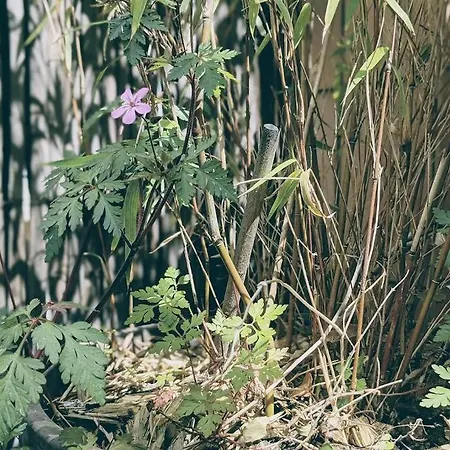 La Colonie // Cosy - Terrasse - Butte Aux Cailles Párizs